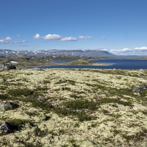 Storekrækkja er en rundtur fra Fagerheim via Krækkja, midt på Hardangervidda